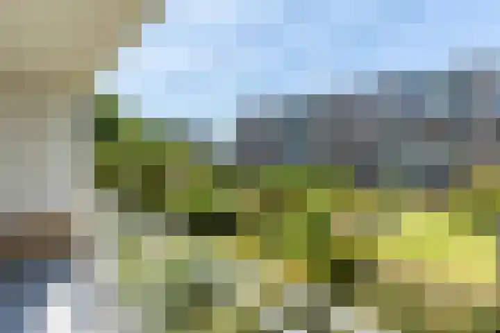 Van Bijnkershoeklaan 65 Utrecht thumbnail 17