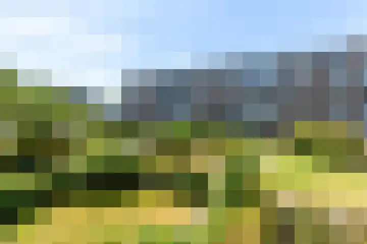 Van Bijnkershoeklaan 65 Utrecht thumbnail 22