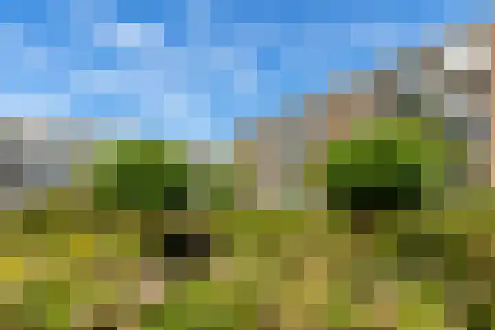Van Bijnkershoeklaan 65 Utrecht thumbnail 25