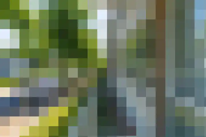 Van Bijnkershoeklaan 65 Utrecht thumbnail 5