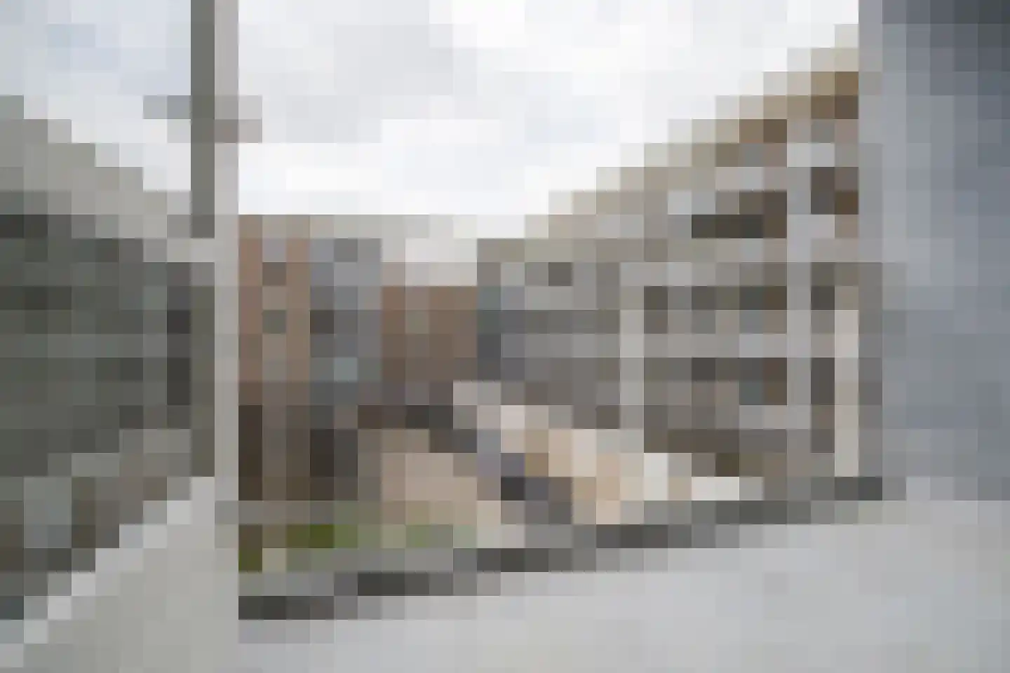 Van Bijnkershoeklaan 67 Utrecht thumbnail 32