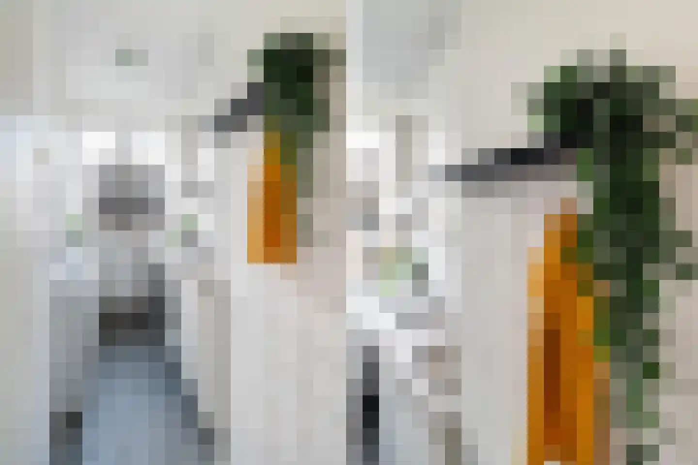 Van Bijnkershoeklaan 7 Utrecht thumbnail 10