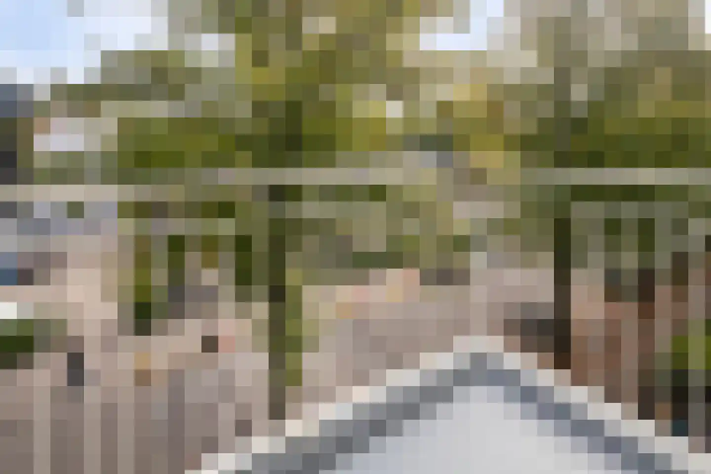 Van Bijnkershoeklaan 73 Utrecht thumbnail 25