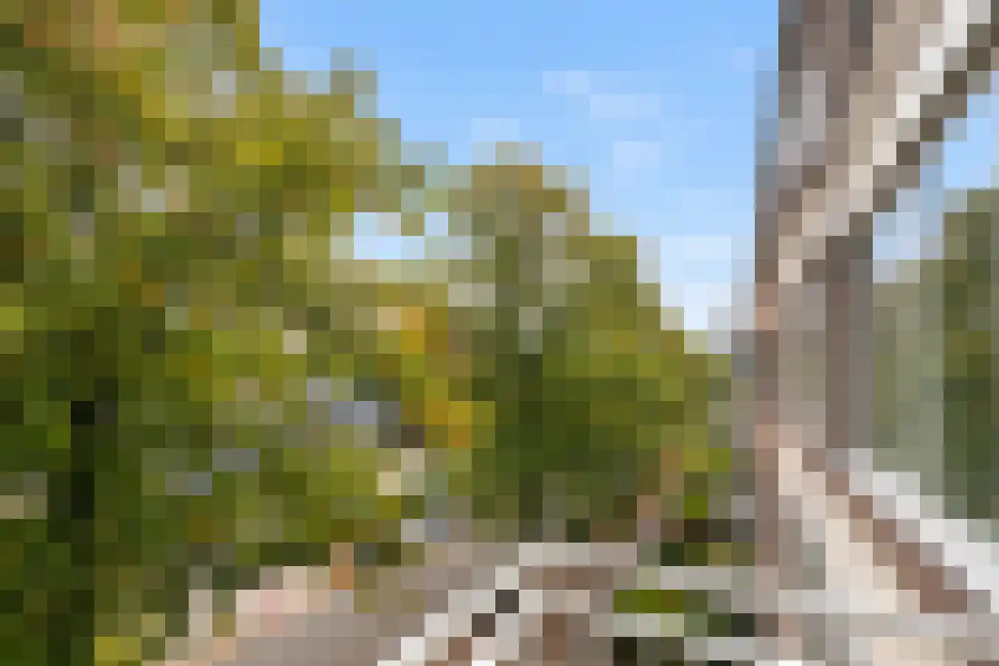 Van Bijnkershoeklaan 73 Utrecht thumbnail 26