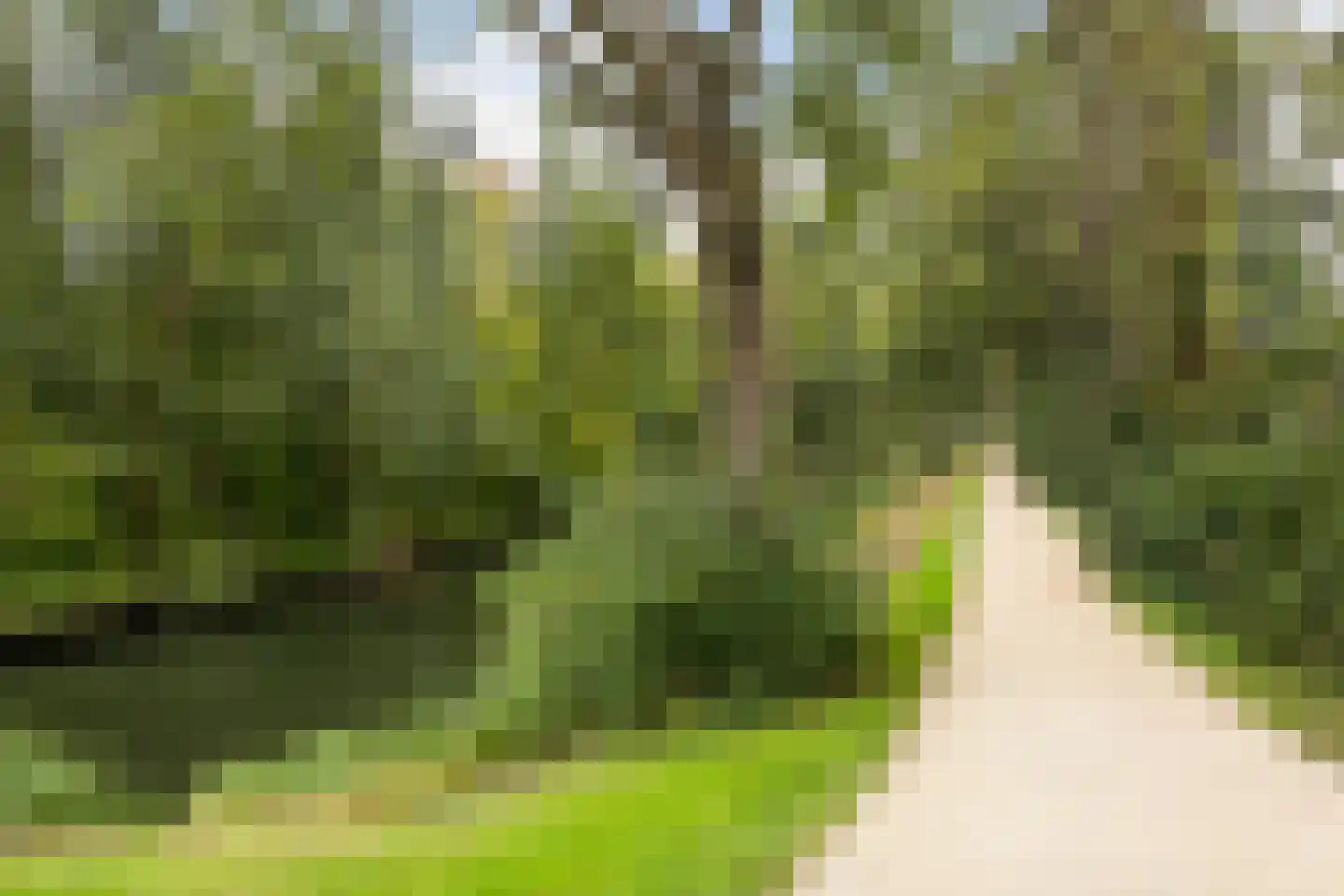 Van Bijnkershoeklaan 81 Utrecht thumbnail 30