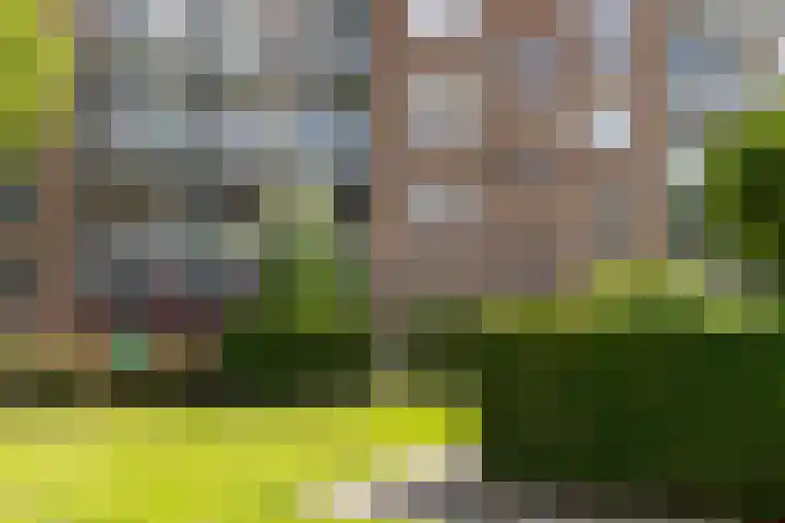 Van Bijnkershoeklaan 85 Utrecht thumbnail 28