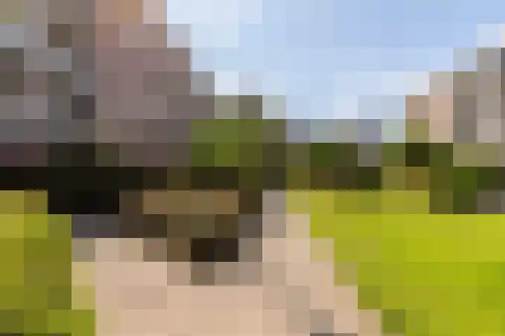 Van Bijnkershoeklaan 85 Utrecht thumbnail 29