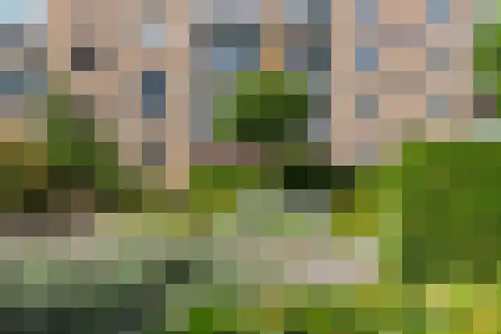 Van Bijnkershoeklaan 85 Utrecht thumbnail 31