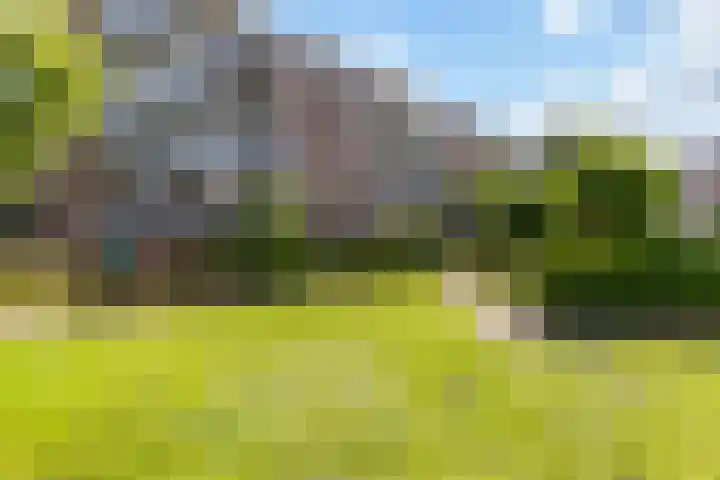 Van Bijnkershoeklaan 85 Utrecht thumbnail 32