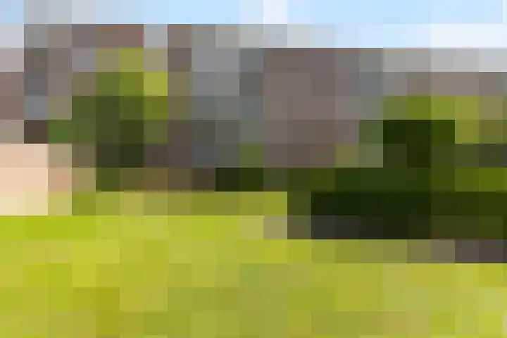 Van Bijnkershoeklaan 85 Utrecht thumbnail 33