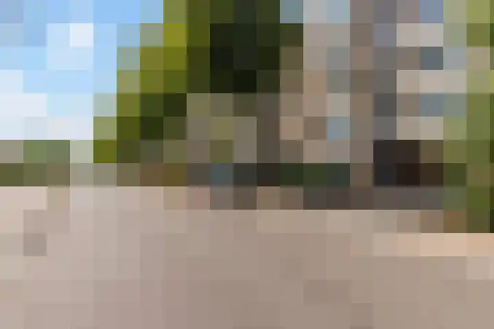 Van Bijnkershoeklaan 85 Utrecht thumbnail 38