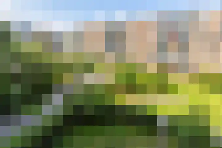 Van Bijnkershoeklaan 85 Utrecht thumbnail 8