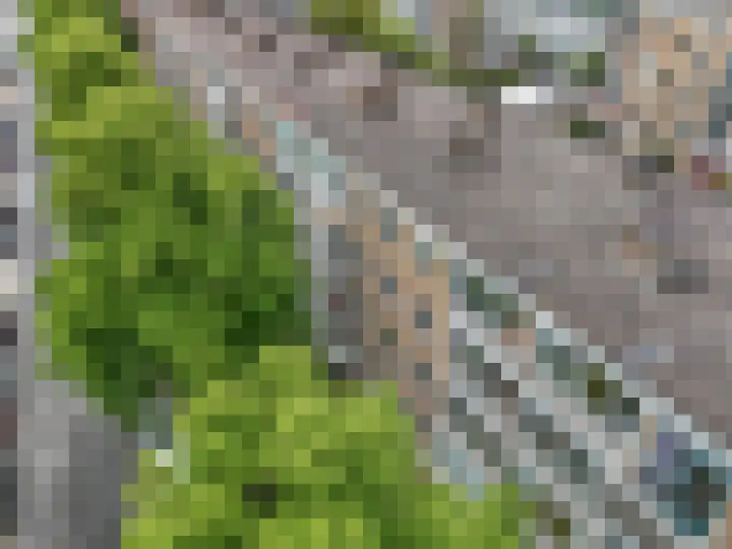 Van Bijnkershoeklaan 91 Utrecht thumbnail 24