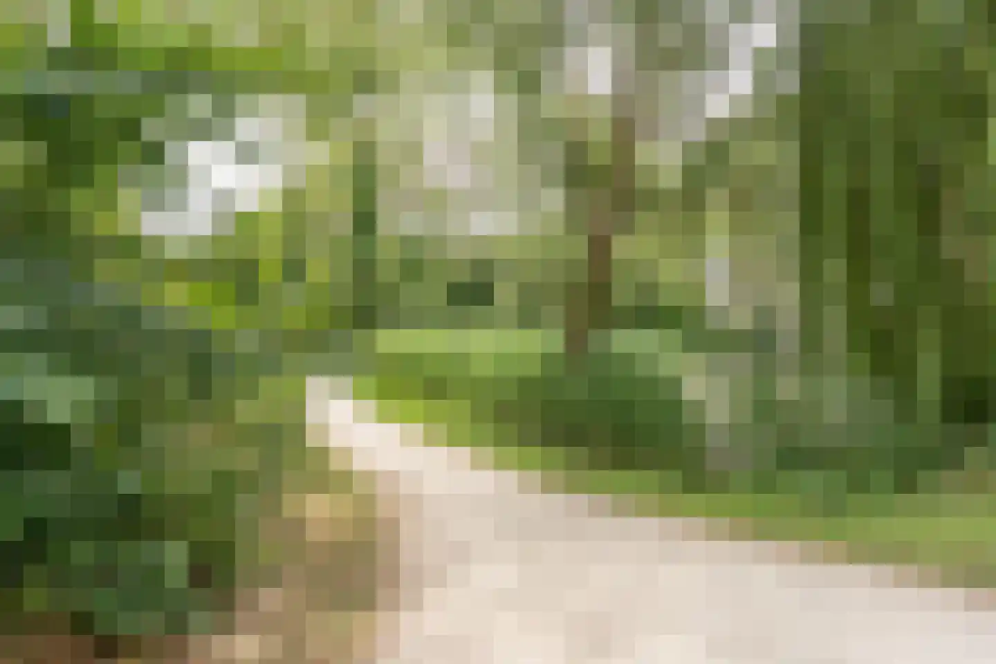 Van Bijnkershoeklaan 99 Utrecht thumbnail 43