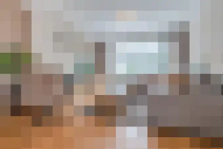 Van Binsbergenstraat 1 Nistelrode thumbnail 11