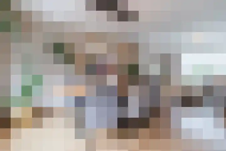 Van Binsbergenstraat 1 Nistelrode thumbnail 12