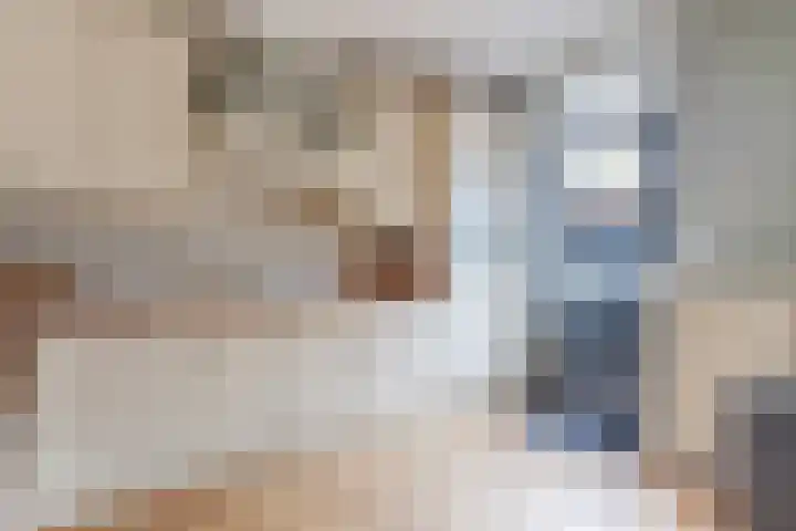 Van Binsbergenstraat 1 Nistelrode thumbnail 15