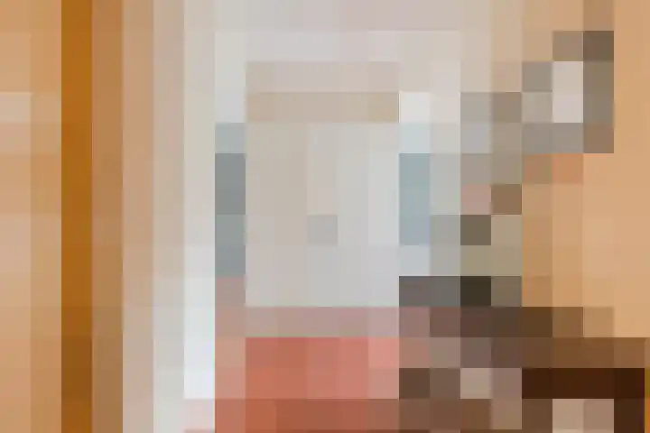 Van Binsbergenstraat 1 Nistelrode thumbnail 17