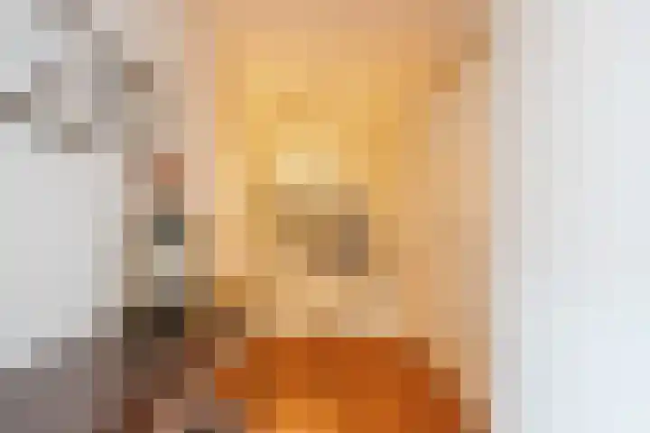 Van Binsbergenstraat 1 Nistelrode thumbnail 18