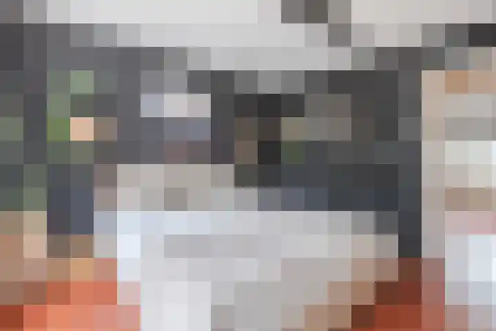 Van Binsbergenstraat 1 Nistelrode thumbnail 20