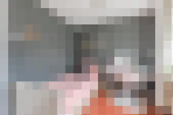 Van Binsbergenstraat 1 Nistelrode thumbnail 23