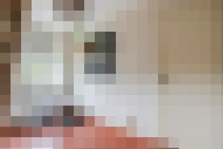Van Binsbergenstraat 1 Nistelrode thumbnail 26