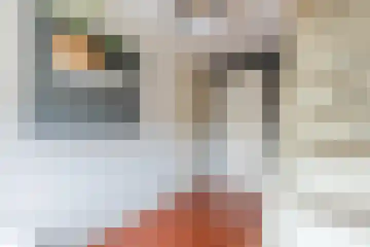 Van Binsbergenstraat 1 Nistelrode thumbnail 28