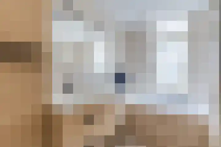 Van Binsbergenstraat 1 Nistelrode thumbnail 29