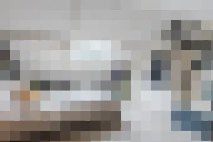 Van Binsbergenstraat 1 Nistelrode thumbnail 40