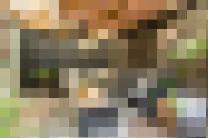 Van Binsbergenstraat 1 Nistelrode thumbnail 46