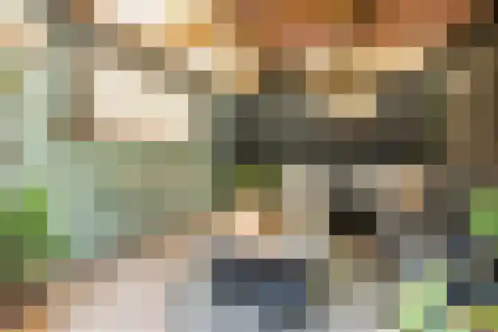 Van Binsbergenstraat 1 Nistelrode thumbnail 47