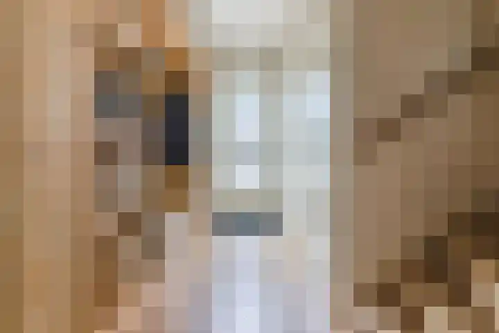 Van Binsbergenstraat 1 Nistelrode thumbnail 5