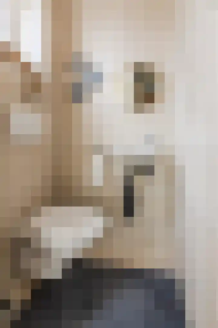 Van Binsbergenstraat 1 Nistelrode thumbnail 6