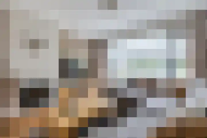 Van Binsbergenstraat 1 Nistelrode thumbnail 7