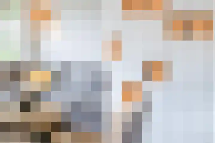 Van Binsbergenstraat 13 Nistelrode thumbnail 22