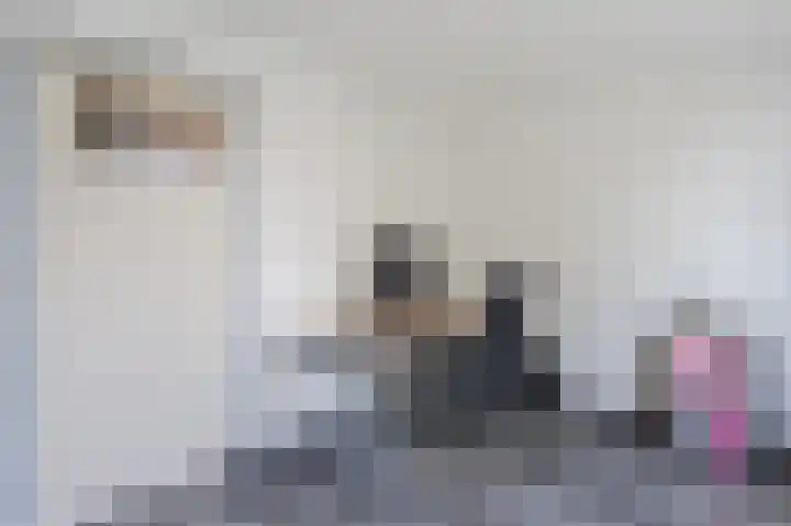 Van Binsbergenstraat 13 Nistelrode thumbnail 34
