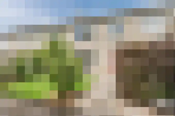 Van Binsbergenstraat 13 Nistelrode thumbnail 4