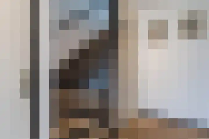 Van Binsbergenstraat 13 Nistelrode thumbnail 9