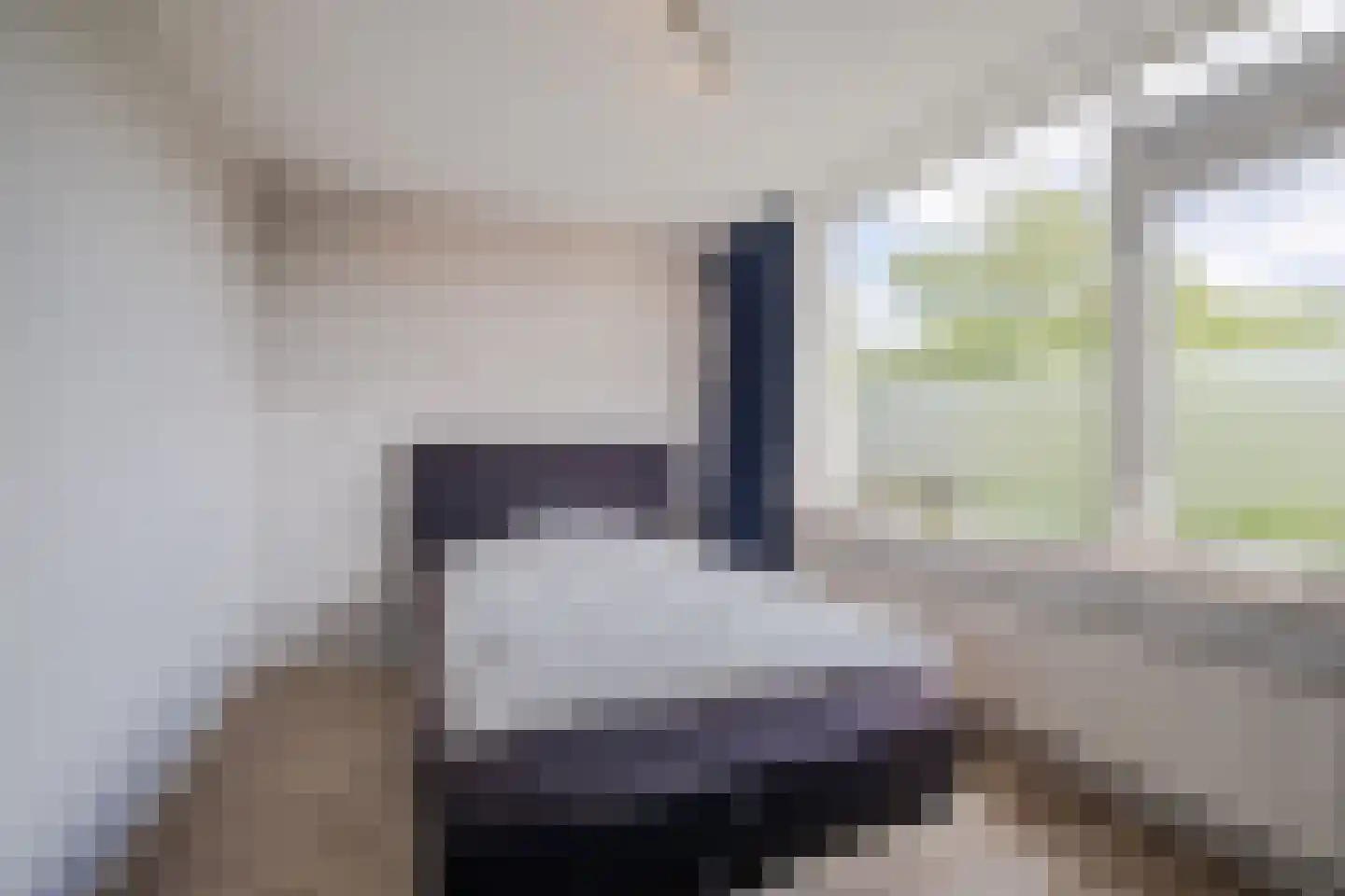 Van Binsbergenstraat 14 Nistelrode thumbnail 17