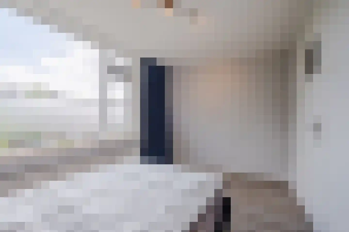 Van Binsbergenstraat 14 Nistelrode thumbnail 18