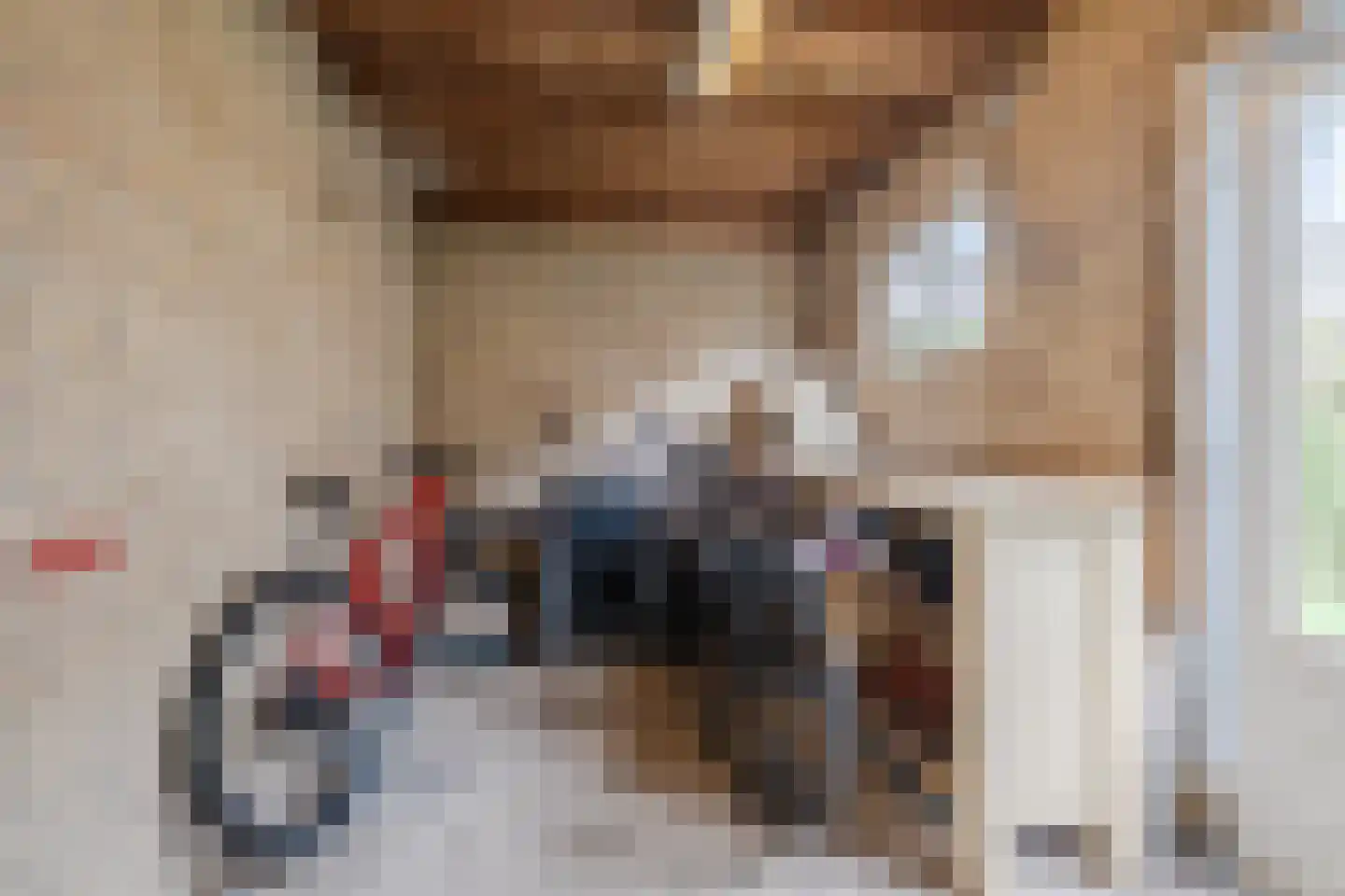 Van Binsbergenstraat 14 Nistelrode thumbnail 27