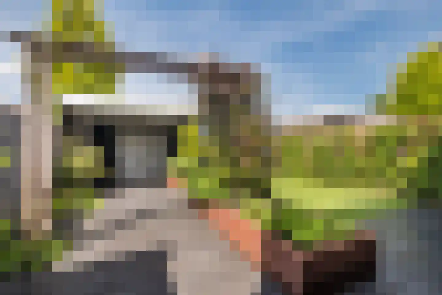 Van Binsbergenstraat 14 Nistelrode thumbnail 29