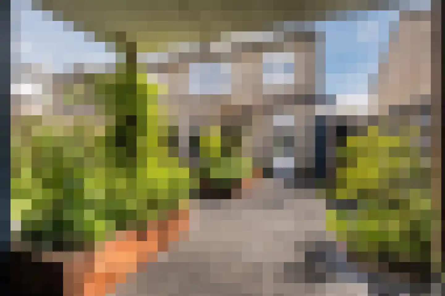 Van Binsbergenstraat 14 Nistelrode thumbnail 31