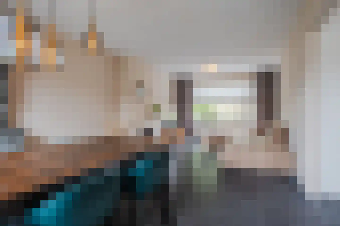 Van Binsbergenstraat 14 Nistelrode thumbnail 8