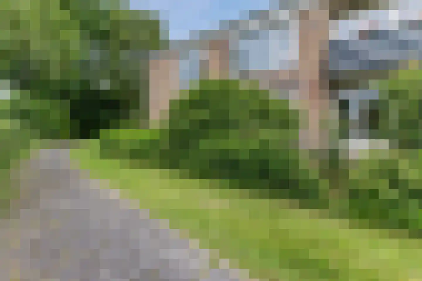 Van Blaaderenweg 11 Bergen (NH) thumbnail 34