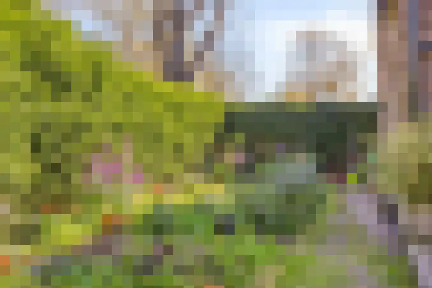 Van Blaaderenweg 36 Bergen (NH) thumbnail 36