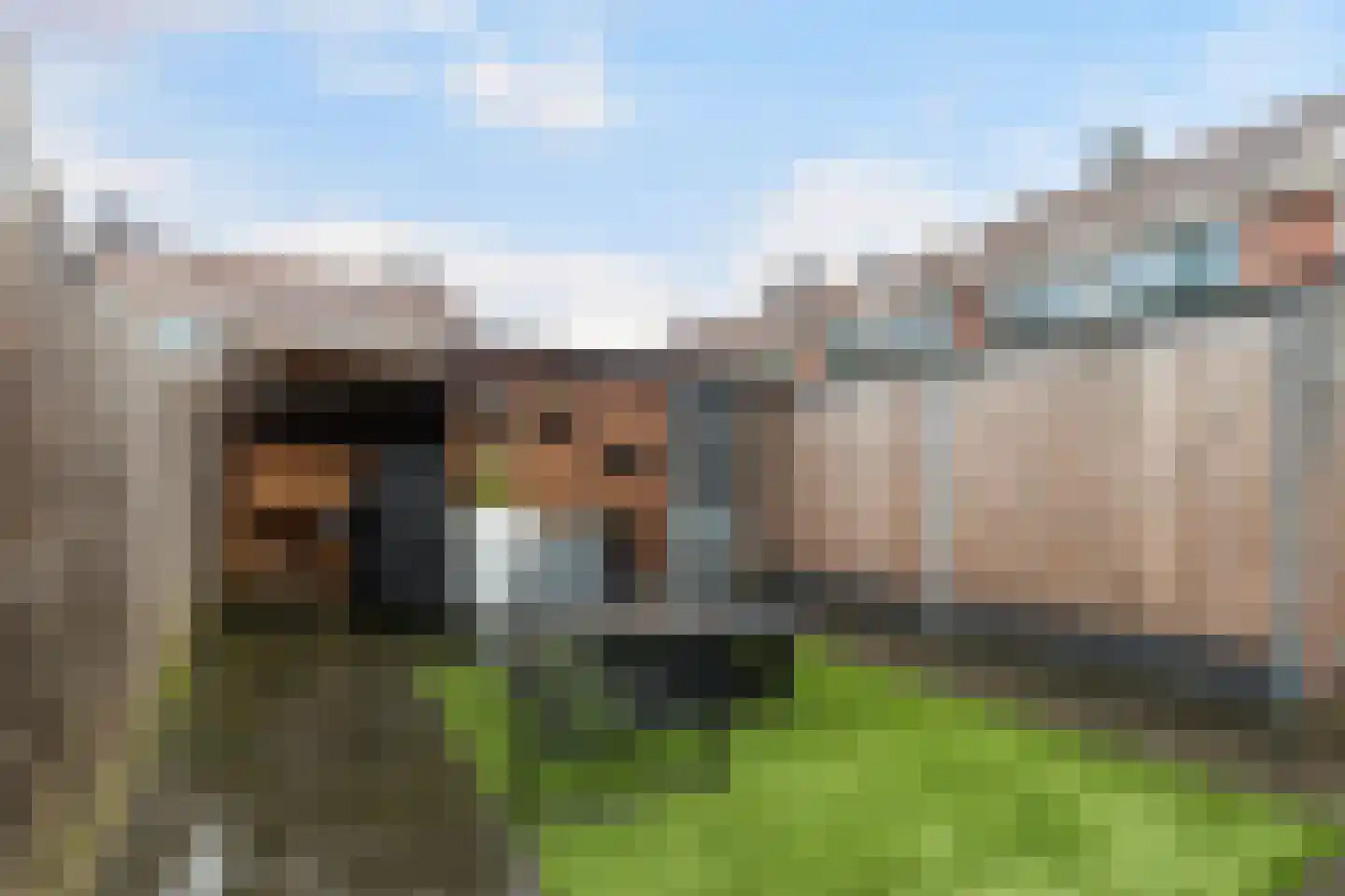 Van Blanckenburgstraat 44 Dordrecht thumbnail 17