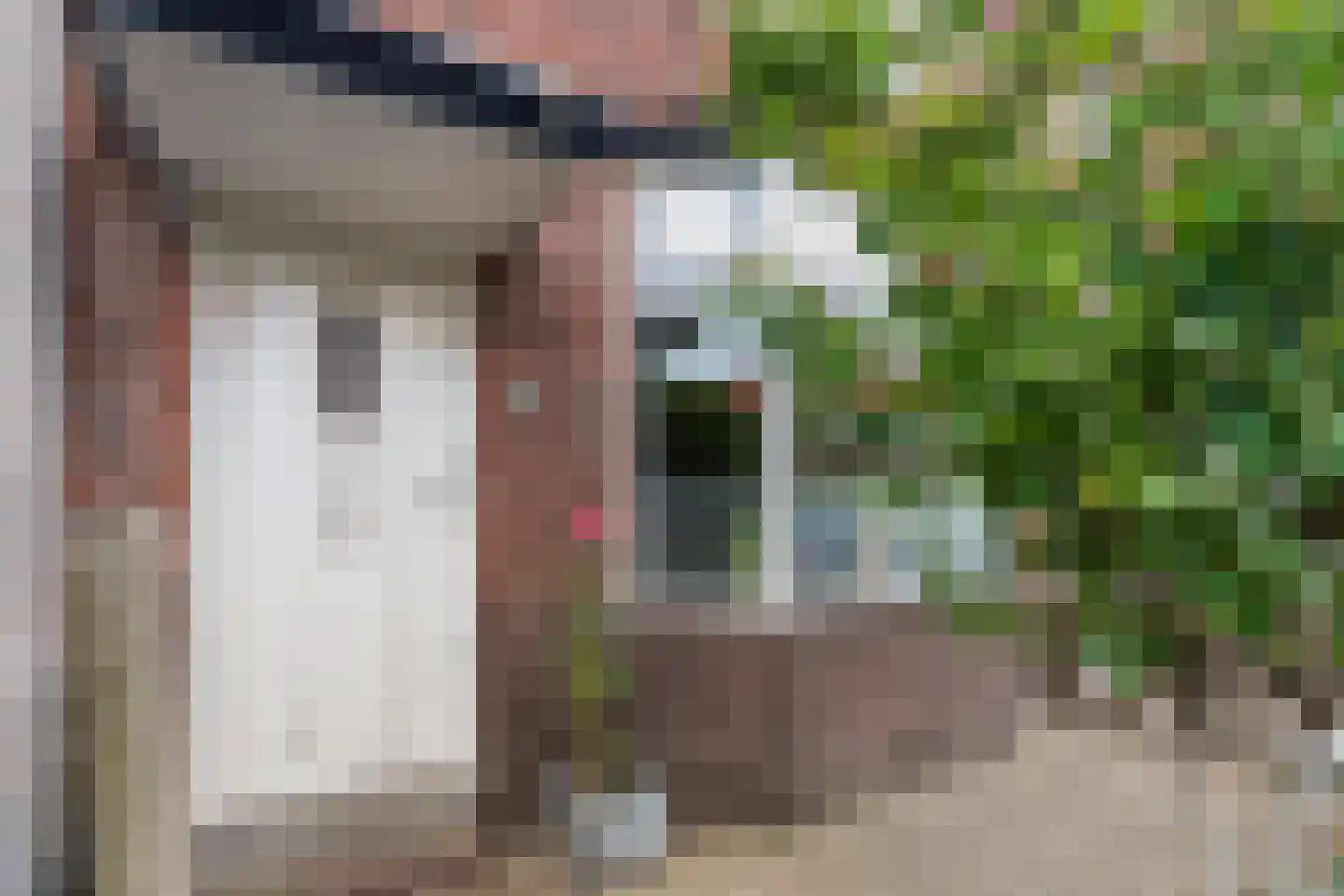 Van Blanckenburgstraat 67 Dordrecht thumbnail 10