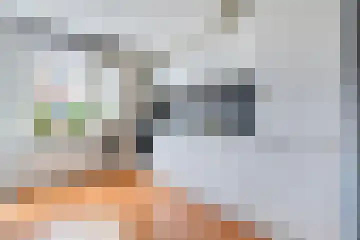 Van Blanckvoortmarke 12 Zwolle thumbnail 11