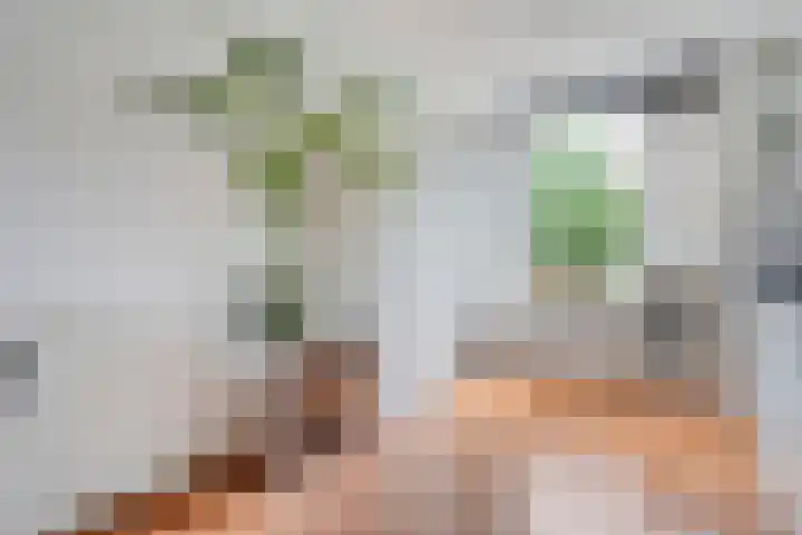 Van Blanckvoortmarke 12 Zwolle thumbnail 12